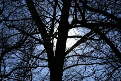 863467_blog